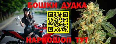 крисы Краснознаменск
