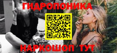 крисы Краснознаменск