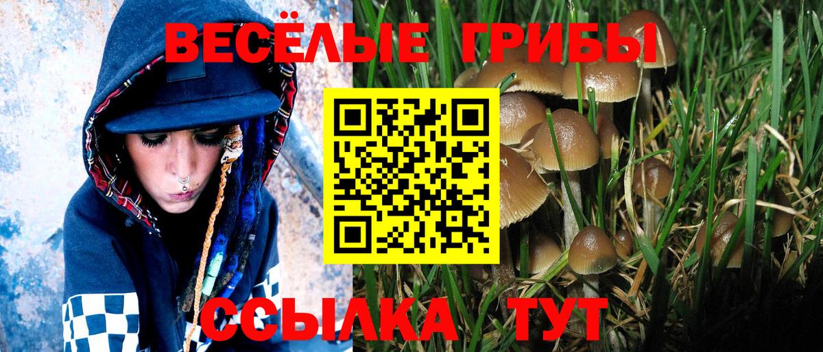 Карпинск  Галлюциногенные грибы прущие грибы  где купить наркоту  Вход с VPN 